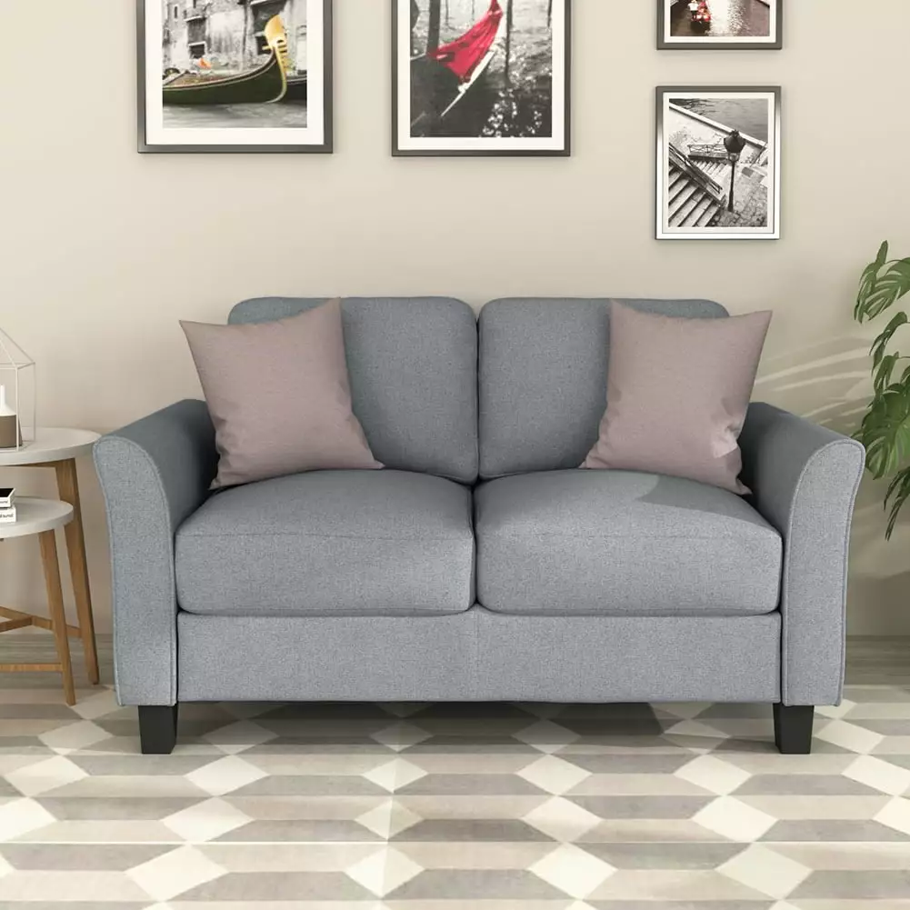 Modern Upholstered Double Seat Sofa. 2-Seat Loveseat Chair for Living Room Office. Gray